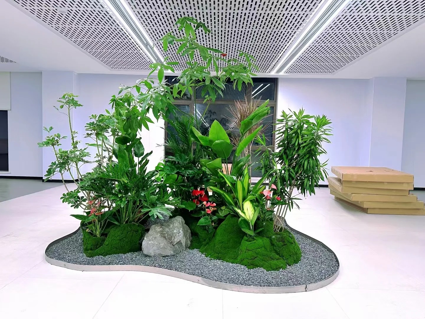 余姚植物租摆，让家居绿植布置变得超简单