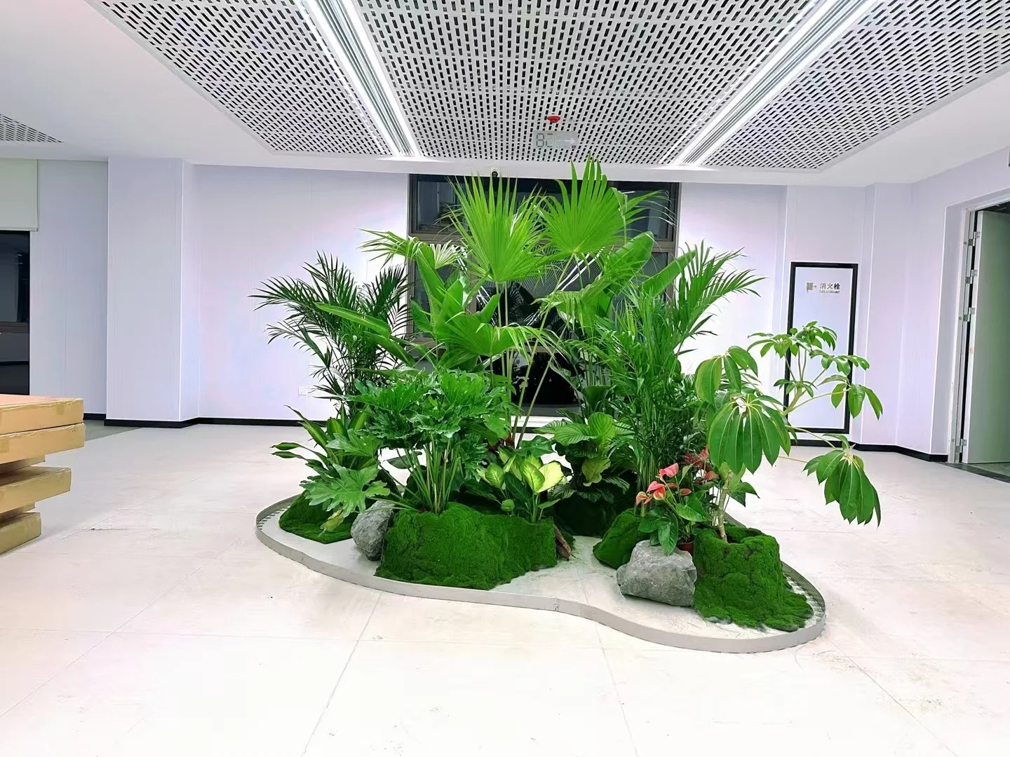 宁波镇海花木租赁专业><div class=