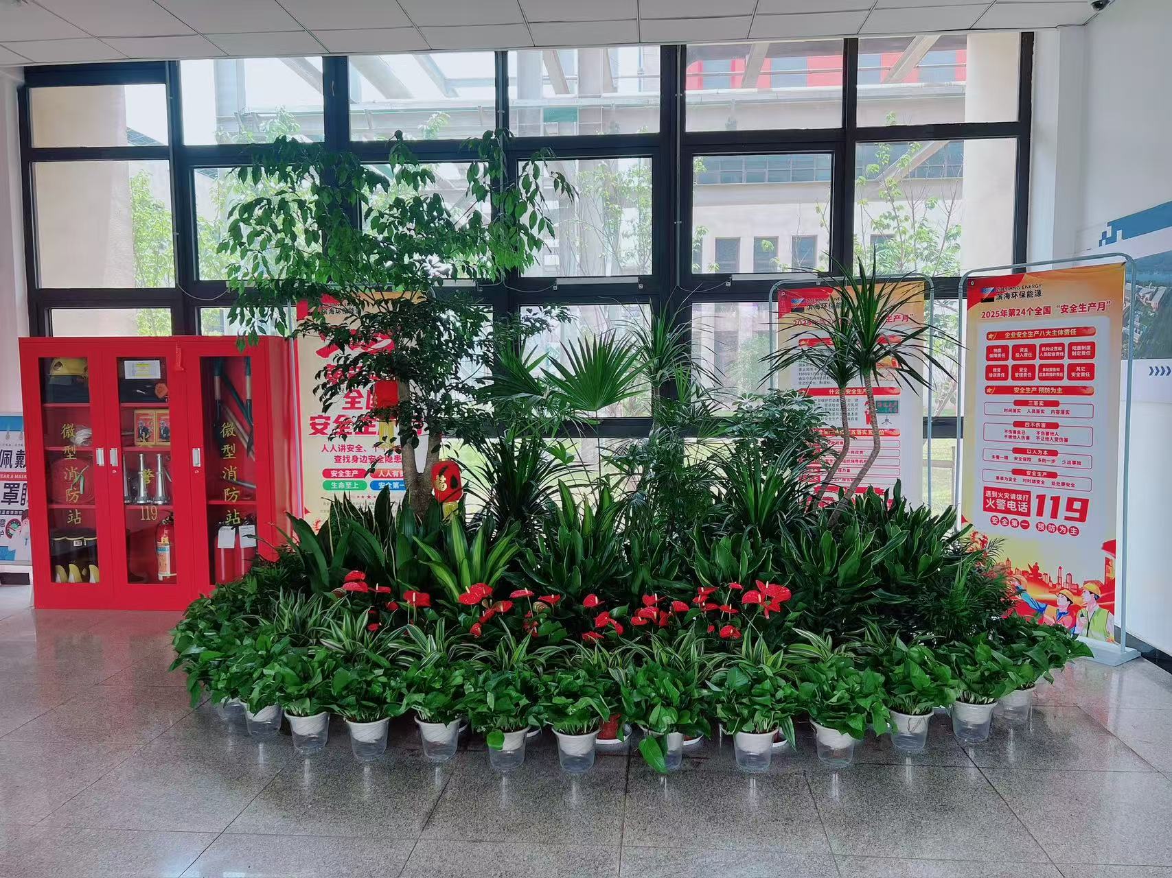 慈溪盆景租赁设计