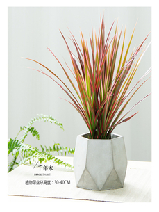 奉化绿化养护><div class=