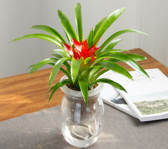 找鄞州绿化修剪行家？这家实力不容小觑